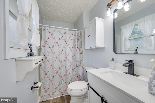 1267 Dominion Rd, Gerrardstown, WV 25420 - bathroom with vanity, toilet, wood finished floors, a textured ceiling, and a shower with shower curtain