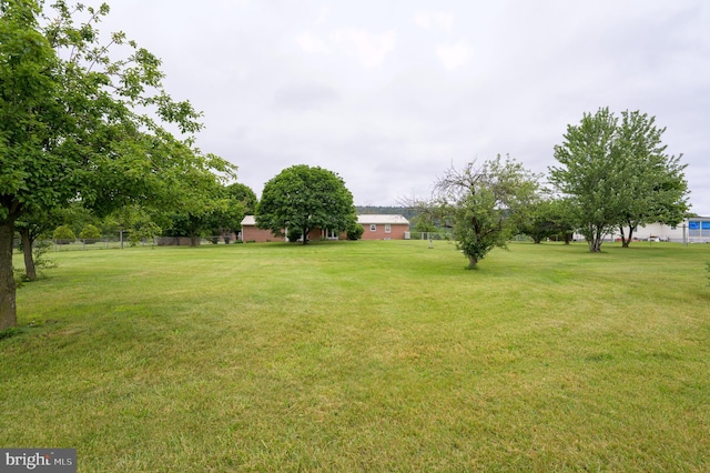 1267 Dominion Rd, Gerrardstown, WV 25420 - view of yard