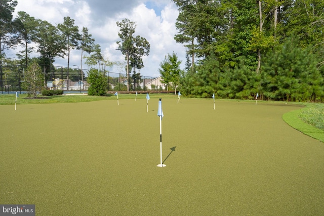 20093 Old Salt Ln, Frankford, DE 19945 - view of community with an area to practice putting