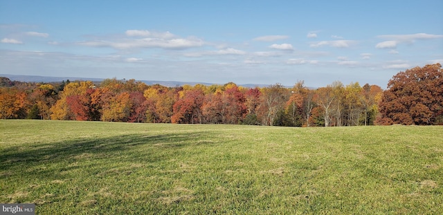 11802B Renner Rd, Keymar, MD 21757 - view of green lawn featuring a wooded view