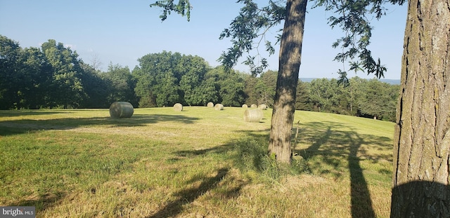 11802B Renner Rd, Keymar, MD 21757 - view of green lawn with a wooded view