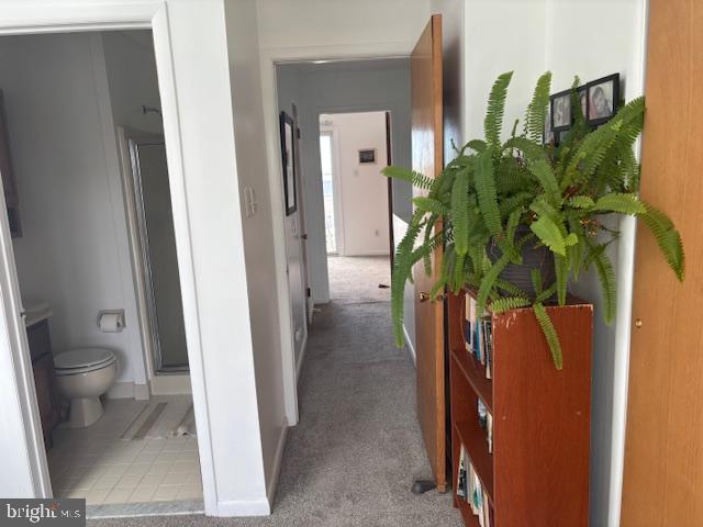 101 11th St N # A, Brigantine, NJ 08203 - hallway featuring carpet and baseboards