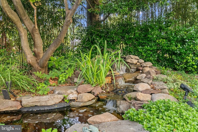 530 Anneslie Rd, Baltimore, MD 21212 - exterior view of a small pond