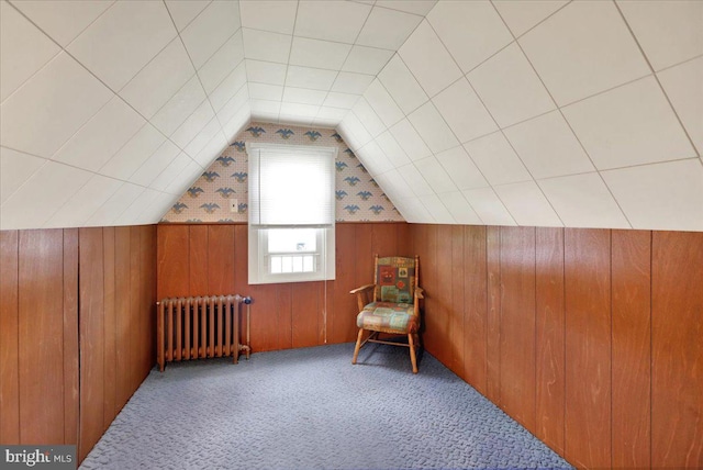 1807 King St, Reading, PA 19605 - additional living space featuring radiator heating unit, vaulted ceiling, wood walls, and carpet flooring