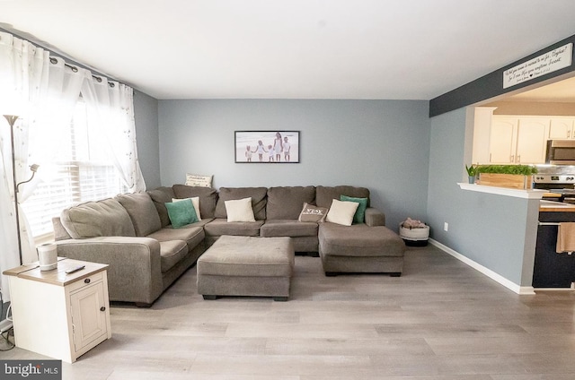 315 Dogwood St, Bally, PA 19503 - living area with light wood-type flooring and baseboards