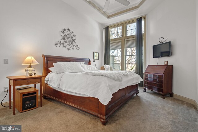 66 Farmview Ln, Lititz, PA 17543 - carpeted bedroom with a raised ceiling and baseboards