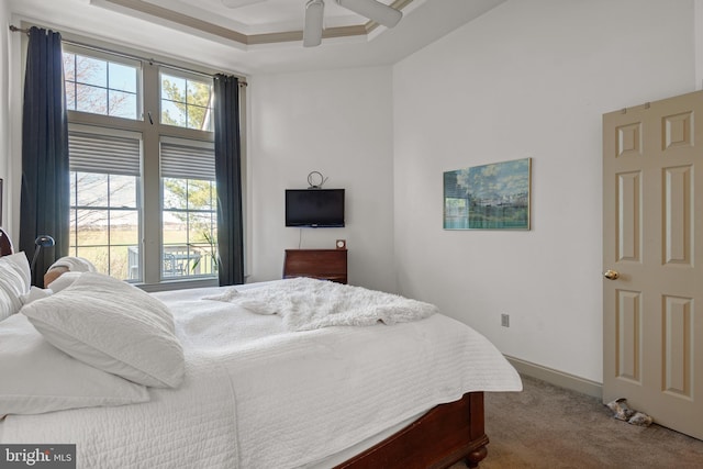 66 Farmview Ln, Lititz, PA 17543 - bedroom with carpet flooring, multiple windows, a tray ceiling, and ceiling fan