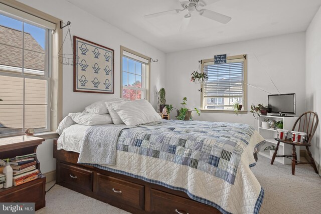 66 Farmview Ln, Lititz, PA 17543 - bedroom featuring light colored carpet, baseboards, and ceiling fan