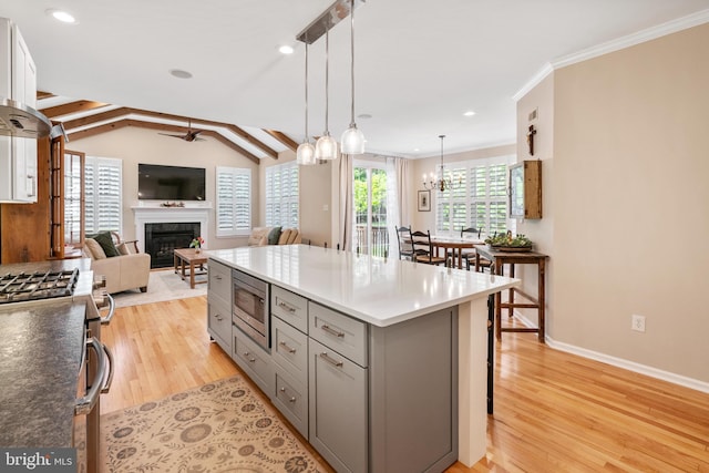 285 Cherry Ln, Kennett Square, PA 19348 - kitchen featuring gray cabinetry, stainless steel appliances, a fireplace, light wood-style floors, and ceiling fan