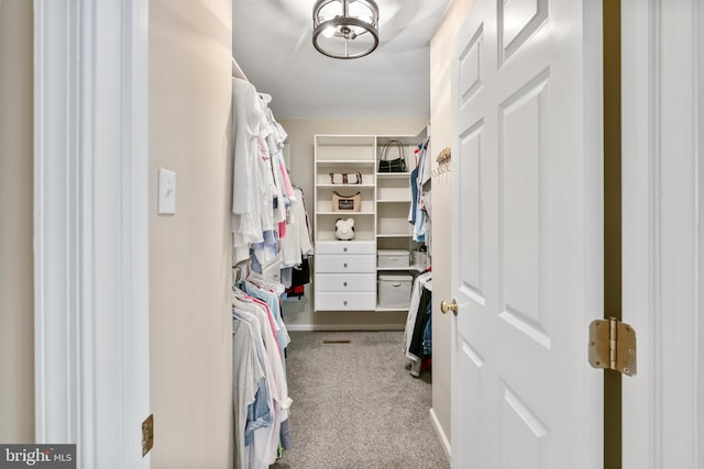 285 Cherry Ln, Kennett Square, PA 19348 - walk in closet featuring carpet
