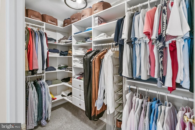 285 Cherry Ln, Kennett Square, PA 19348 - spacious closet with carpet