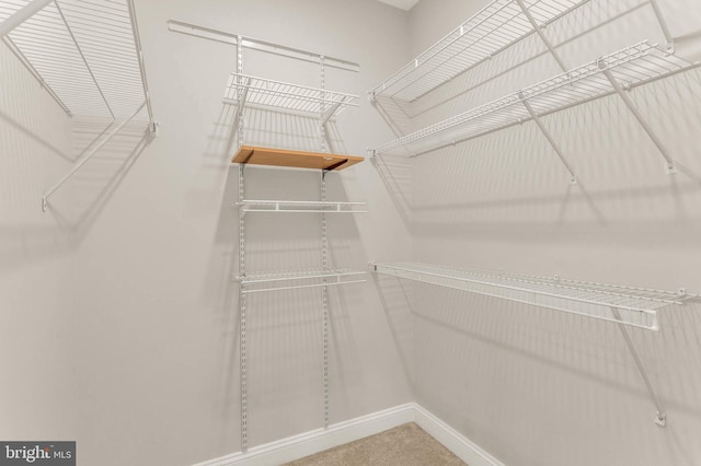 1391 Pennsylvania Ave SE Unit 348, Washington, DC 20003 - view of walk in closet