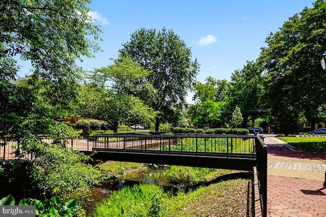 6517 Potomac Ave Unit A2, Alexandria, VA 22307 - surrounding community with view of wooded area