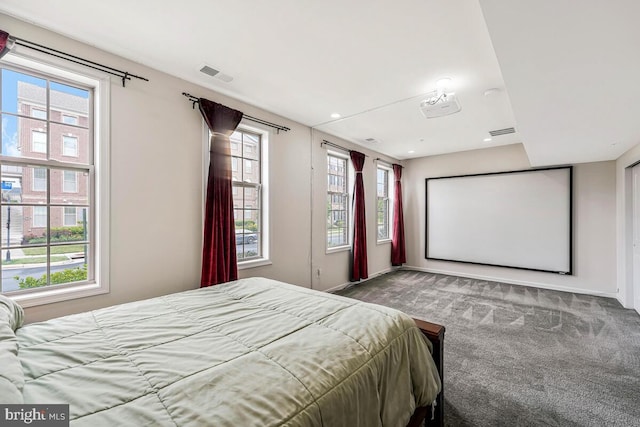 22635 Naugatuck Sq, Ashburn, VA 20148 - carpeted bedroom featuring multiple windows and baseboards