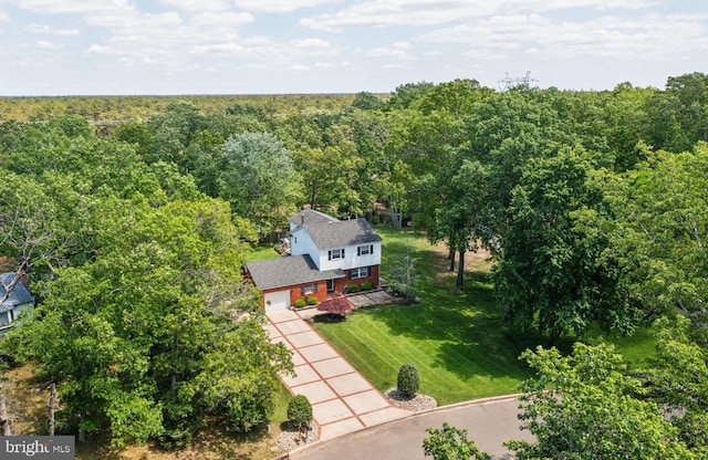 2218 Oakwood Ln, Atco, NJ 08004 - bird's eye view of a forest