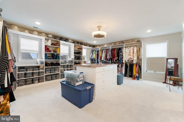 6411 Tulip Ter, Haymarket, VA 20169 - spacious closet with light colored carpet