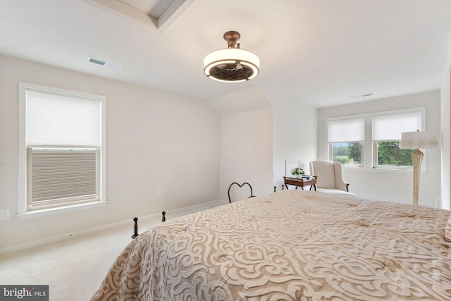 6411 Tulip Ter, Haymarket, VA 20169 - bedroom with carpet floors and baseboards