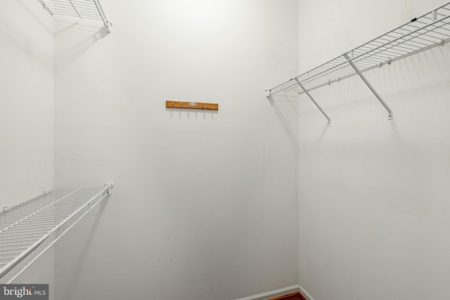256 Silverbell Ct, West Chester, PA 19380 - view of walk in closet