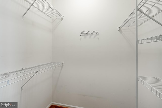 256 Silverbell Ct, West Chester, PA 19380 - view of walk in closet