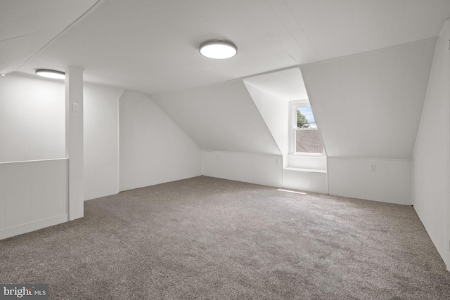 541 High St, Lancaster, PA 17603 - bonus room with carpet and vaulted ceiling