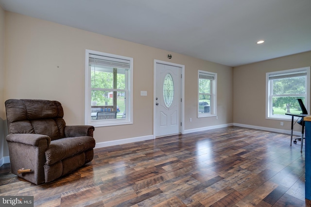 94 Eagle Ct, Woodstock, VA 22664 - entryway featuring plenty of natural light, dark wood-type flooring, recessed lighting, and baseboards