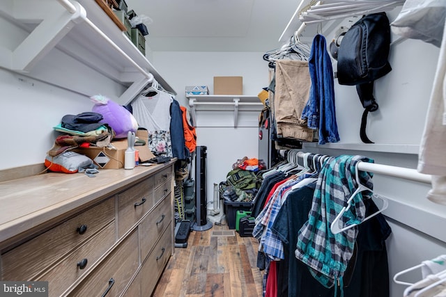 94 Eagle Ct, Woodstock, VA 22664 - spacious closet with light wood-style flooring