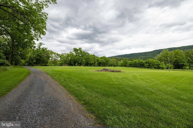 94 Eagle Ct, Woodstock, VA 22664 - view of road with a forest view