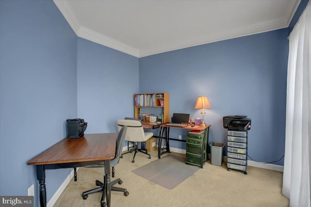 10526 Jasper Dr S, Greencastle, PA 17225 - office space featuring crown molding, carpet flooring, and baseboards