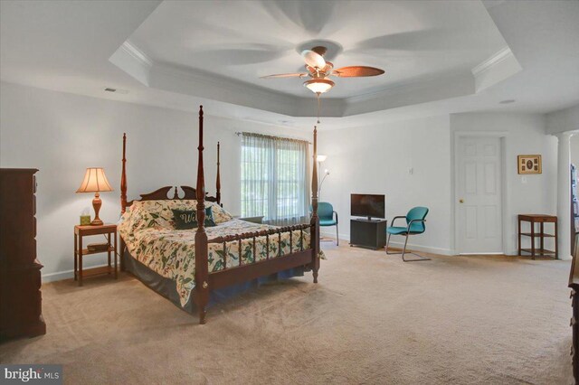 10526 Jasper Dr S, Greencastle, PA 17225 - carpeted bedroom with a raised ceiling, crown molding, ceiling fan, and baseboards