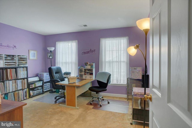 10526 Jasper Dr S, Greencastle, PA 17225 - office featuring plenty of natural light and carpet floors