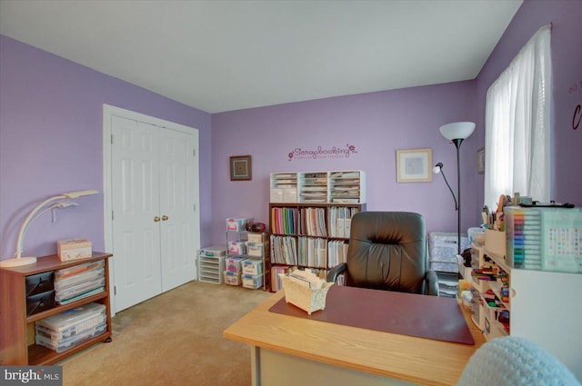 10526 Jasper Dr S, Greencastle, PA 17225 - office space with carpet flooring