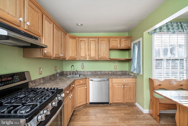 41 Collins Rd, Hamilton, NJ 08619 - kitchen featuring appliances with stainless steel finishes, a sink, under cabinet range hood, light wood-style flooring, and open shelves