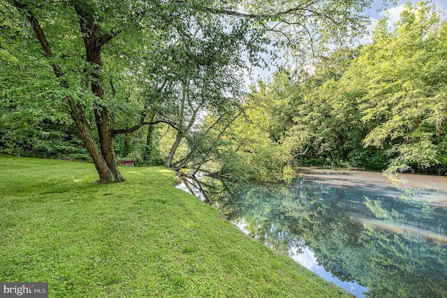 6908 S Roxbury Mill Rd, Spotsylvania, VA 22551 - view of green lawn featuring a view of trees