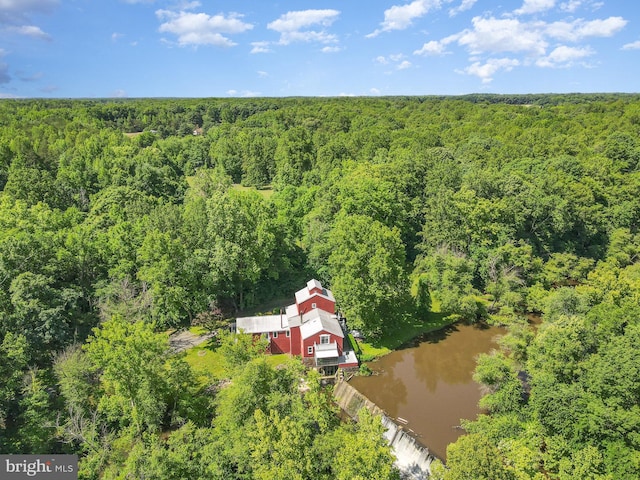 6908 S Roxbury Mill Rd, Spotsylvania, VA 22551 - drone / aerial view of a heavily wooded area and a nearby body of water