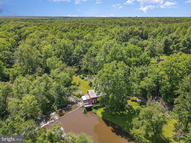 6908 S Roxbury Mill Rd, Spotsylvania, VA 22551 - drone / aerial view of a heavily wooded area and a large body of water