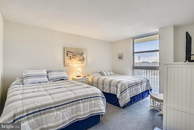 506 Brandywine House Rd Unit 506S, Bethany Beach, DE 19930 - bedroom with carpet and a textured ceiling