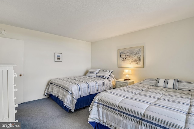 506 Brandywine House Rd Unit 506S, Bethany Beach, DE 19930 - view of carpeted bedroom