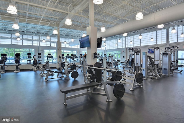 506 Brandywine House Rd Unit 506S, Bethany Beach, DE 19930 - exercise room featuring a high ceiling and healthy amount of natural light