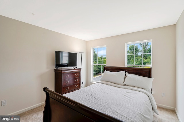 45812 Winding Branch Ter, Sterling, VA 20166 - bedroom featuring light carpet and baseboards
