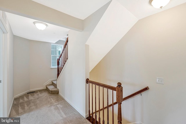 45812 Winding Branch Ter, Sterling, VA 20166 - stairs with carpet and baseboards