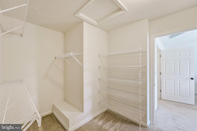45812 Winding Branch Ter, Sterling, VA 20166 - spacious closet featuring carpet floors and attic access