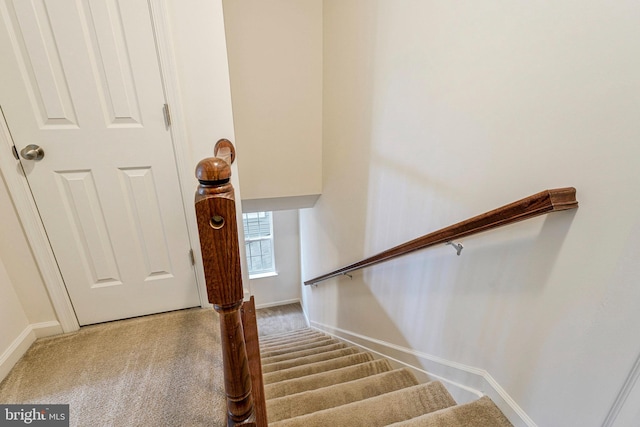 45812 Winding Branch Ter, Sterling, VA 20166 - stairway featuring baseboards and carpet
