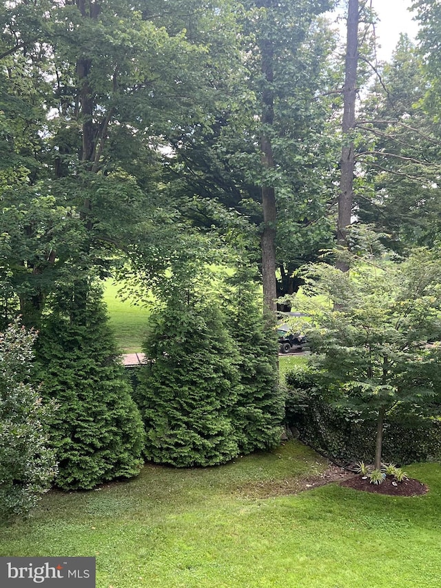 7600 Charleston Dr, Bethesda, MD 20817 - view of grassy yard