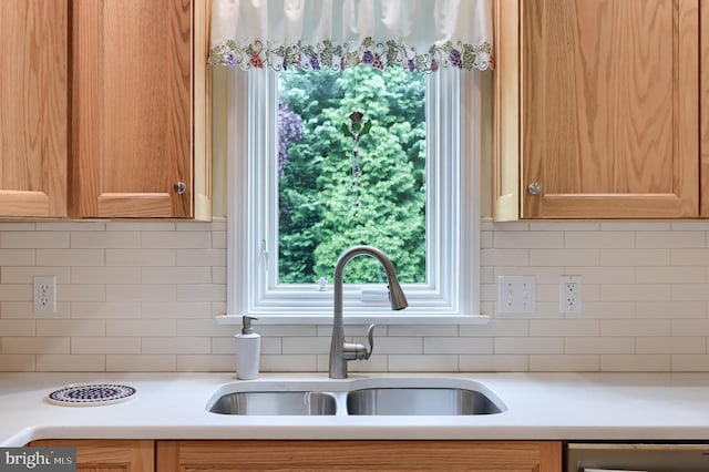1350 Hyde Park Dr, Lancaster, PA 17601 - kitchen with a sink, stainless steel dishwasher, tasteful backsplash, light countertops, and healthy amount of natural light