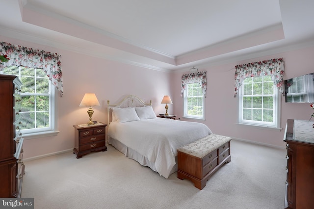 1350 Hyde Park Dr, Lancaster, PA 17601 - bedroom featuring a tray ceiling, light colored carpet, ornamental molding, and baseboards