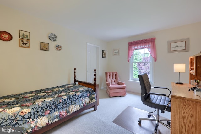 1350 Hyde Park Dr, Lancaster, PA 17601 - bedroom with carpet flooring and an office area
