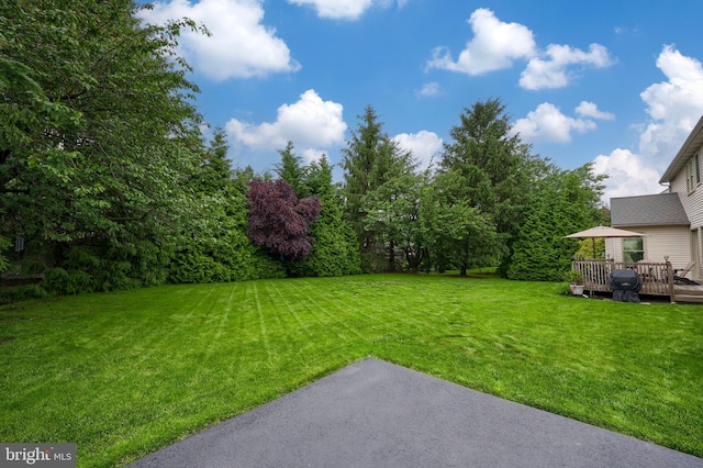 1350 Hyde Park Dr, Lancaster, PA 17601 - view of green lawn with a wooden deck