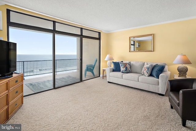 11400 Coastal Hwy Unit 8G, Ocean City, MD 21842 - carpeted living room with ornamental molding and a textured ceiling