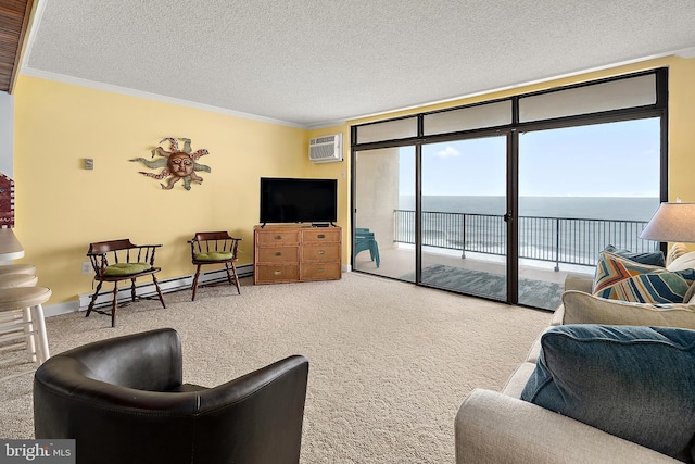 11400 Coastal Hwy Unit 8G, Ocean City, MD 21842 - living room with a baseboard heating unit, crown molding, carpet flooring, expansive windows, and a textured ceiling