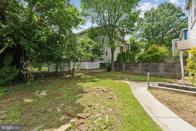 4100 Jenifer St NW, Washington, DC 20015 - view of yard